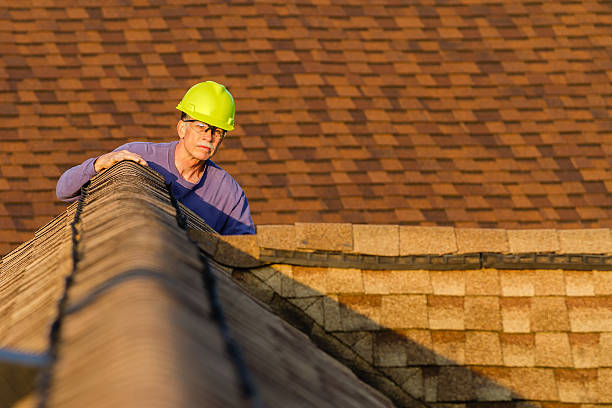 Best Storm Damage Roof Repair  in Crewe, VA