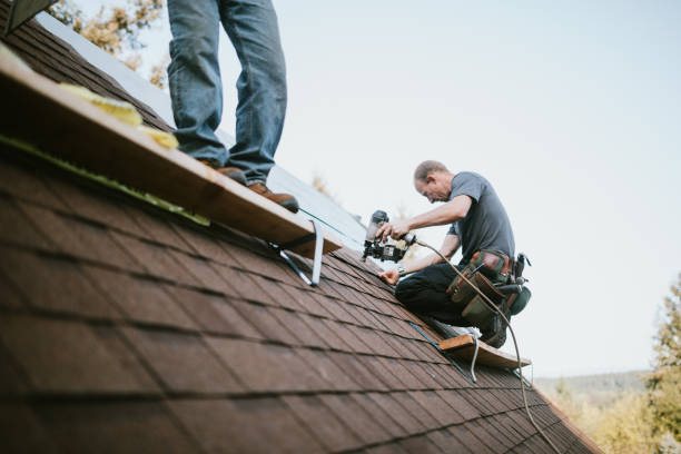 Quick and Trustworthy Emergency Roof Repair Services in Crewe, VA