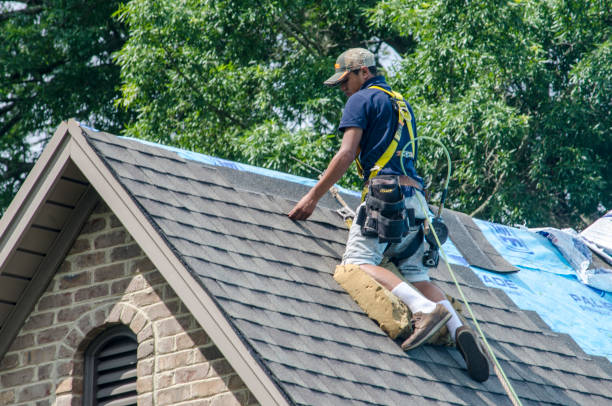 Roof Waterproofing Services in Crewe, VA